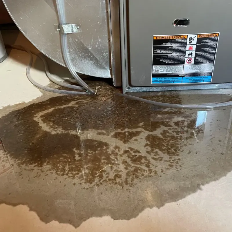 Pipe Burst and Leak Restoration in West Kittanning, PA