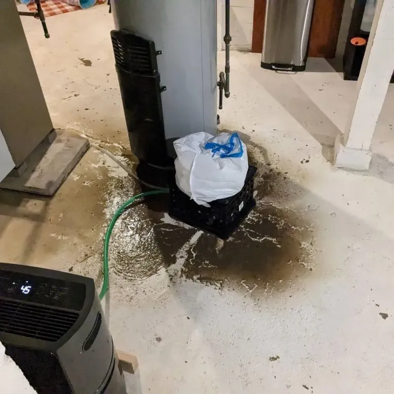 Sewage Backup Cleanup Service in West Kittanning, PA